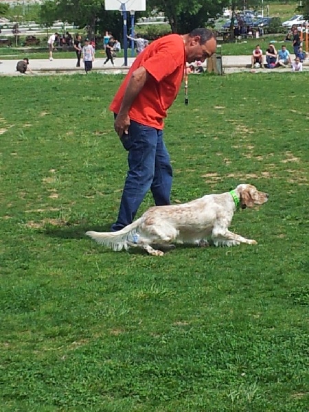 Fête de la chasse à Bouc Bel Air, Le 2 mai 2015