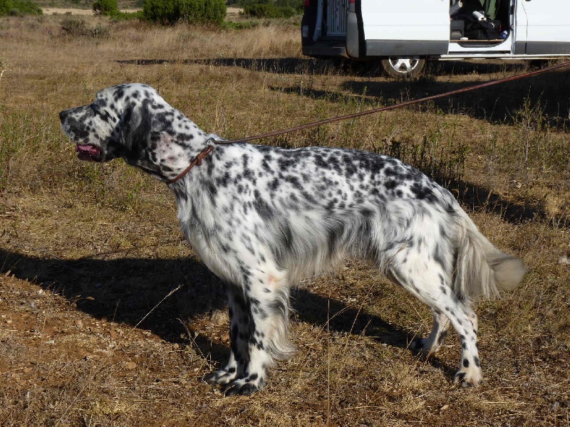 UL DE LA MAZORRA
